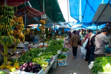 Marché de fruits et légumes - crédits : © David Henley/ Pictures From History/ Universal Images Group/ Getty Images