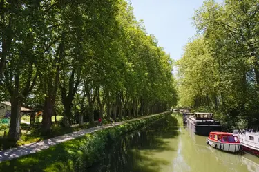 Canal du Midi, Haute-Garonne - crédits : © Bildagentur Zoonar GmbH/ Shutterstock