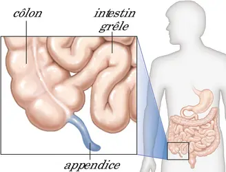 Appendice - crédits : © Encyclopædia Britannica, Inc.