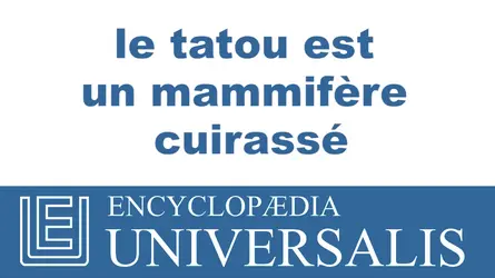 Tatou - crédits : © 2013 Encyclopædia Universalis
