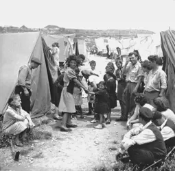 Immigration juive en Israël, années 1950 - crédits : © The Jewish Agency for Israel