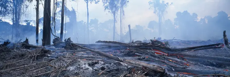 Déforestation en Amazonie - crédits : Avalon/ Universal Images Group/ Getty Images