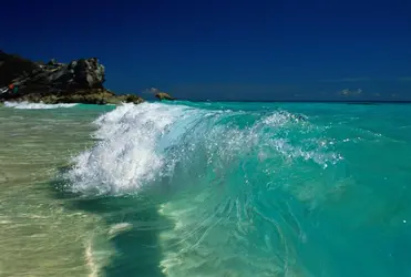 Côte aux Bermudes - crédits : Martin Barraud/ The Image Bank/ Getty Images