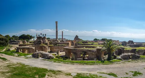 Site de Carthage, Tunisie - crédits : © Michal Hlavica/ Shutterstock