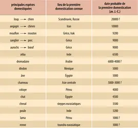 Datation et localisation des premières domestications - crédits : Encyclopædia Universalis France