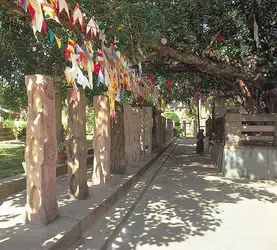 Arbre de l'éveil de Bouddha à Bodhgaya, Inde - crédits : © Milt and Joan Mann/Cameramann International