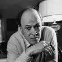 Roald Dahl - crédits : Ronald Dumont/ Daily Express/ Hulton Archive/ Getty Images