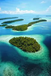Îles Salomon - crédits : © Michael Pitts/Nature Picture Library