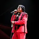 James Brown - crédits : © Miqu77/ Shutterstock