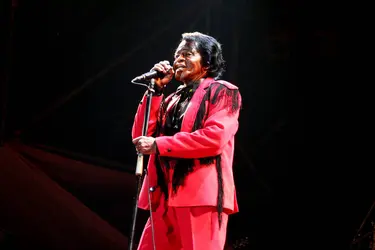 James Brown - crédits : © Miqu77/ Shutterstock