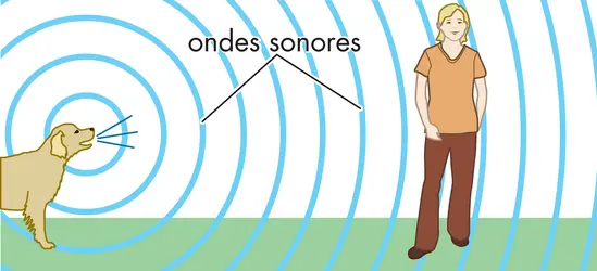 Ondes sonores - crédits : © Encyclopædia Britannica, Inc.