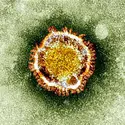 Coronavirus MERS - crédits : Associated Press/ Health Protection Agency