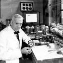 Alexander Fleming, découvreur de la pénicilline - crédits : Davies/ Keystone/ Hulton Archive/ Getty Images
