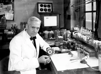 Alexander Fleming, découvreur de la pénicilline - crédits : Davies/ Keystone/ Hulton Archive/ Getty Images