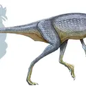 Eoraptor - crédits : © Encyclopædia Universalis France