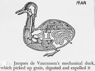 Le Canard digérateur, automate - crédits : © Bettmann/ Getty Images