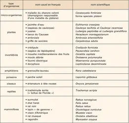 Espèces invasives en France - crédits : Encyclopædia Universalis France