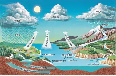 Cycle de l'eau - crédits : © Encyclopædia Britannica, Inc.