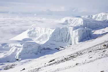 Glacier du Kilimandjaro - crédits : © J. Lindsay-Smith/ Shutterstock