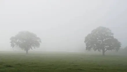 Humidité de l'air - crédits : © R. Gironimo/ Shutterstock