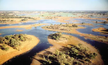 Botswana - crédits : © Spectrum Colour Library/Heritage-Images