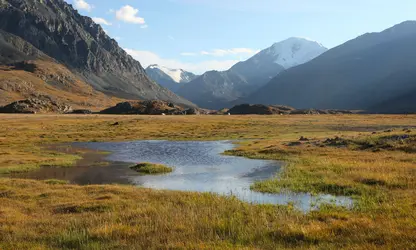 Toundra alpine de l’Altaï, Russie - crédits : A. Hunta/ Shutterstock