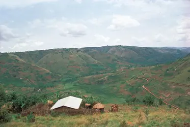 Paysage rural au Rwanda - crédits : J. Hatt/ The Hutchinson Library
