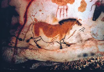 Cheval peint, grotte de Lascaux - crédits : © AKG-images