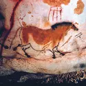 Cheval peint, grotte de Lascaux - crédits : © AKG-images