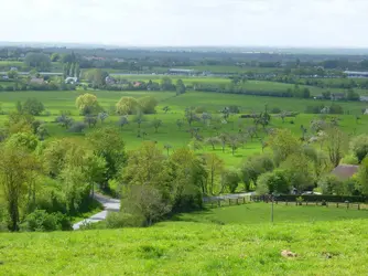 Paysage bocager, Normandie - crédits : © Françoise Weyl