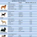 Races de chiens - crédits : © Encyclopædia Universalis France