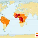 Géographie de la fièvre jaune - crédits : © Encyclopædia Universalis France