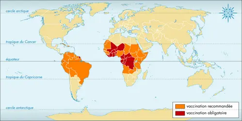 Géographie de la fièvre jaune - crédits : © Encyclopædia Universalis France