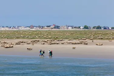 Baie de Somme - crédits : © Olivier Leclercq/ hemis.fr