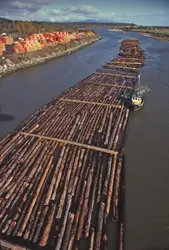 Transport du bois par flottage - crédits : Charles O'Rear/ Getty Images