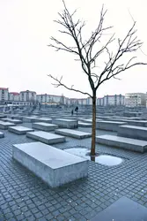 Mémorial aux juifs assassinés d'Europe, Berlin - crédits : © Luciano Mortula/ Shutterstock