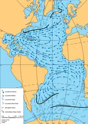 Gulf Stream - crédits : Encyclopædia Universalis France