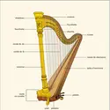 Harpe - crédits : Encyclopædia Universalis France