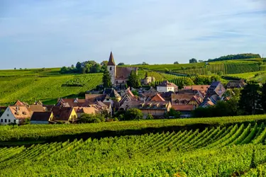 Vignoble en Alsace, dans le Haut-Rhin - crédits : © Frank Bienewald/ LightRocket/ Getty Images