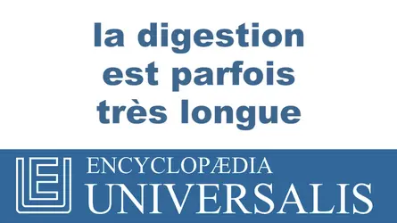 Fonctionnement de l'appareil digestif - crédits : © 2013 Encyclopædia Universalis