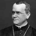 Gregor Mendel - crédits : Hulton Archive/ Getty Images