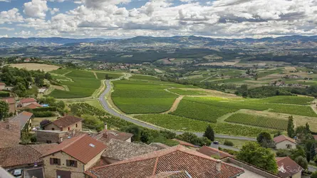 Beaujolais, Rhône - crédits : © Sandrine Néel/ Flickr.fr ; CC BY-ND 2.0